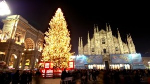 albero-duomo-mi-389x219-custom1