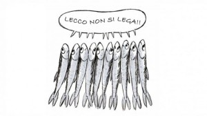 alborelle