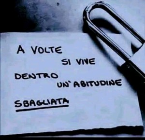 FB_IMG_15768870956325349